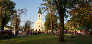 481273167 632419219372911 3175368082439817489 n 